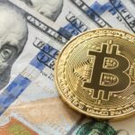 Dollar Rise - How To Reorganize Bitcoin Investments?