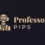 A plumber’s view about Professor Pips Academy